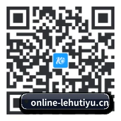 系统版 iOS 二维码